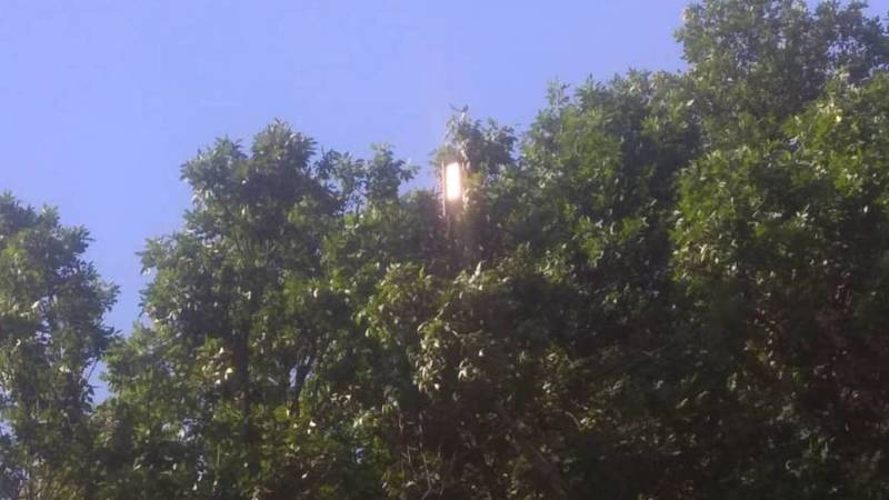 Горожанка жалуется, что в Бишкеке в дневное время горят фонари. Видео и фото