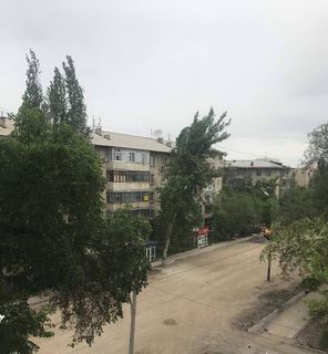 На пересечении улиц Калык Акиева и Московская в Бишкеке накренилось дерево