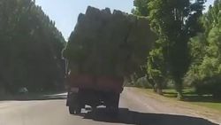 Тюки сена могут упасть с грузовика. Видео