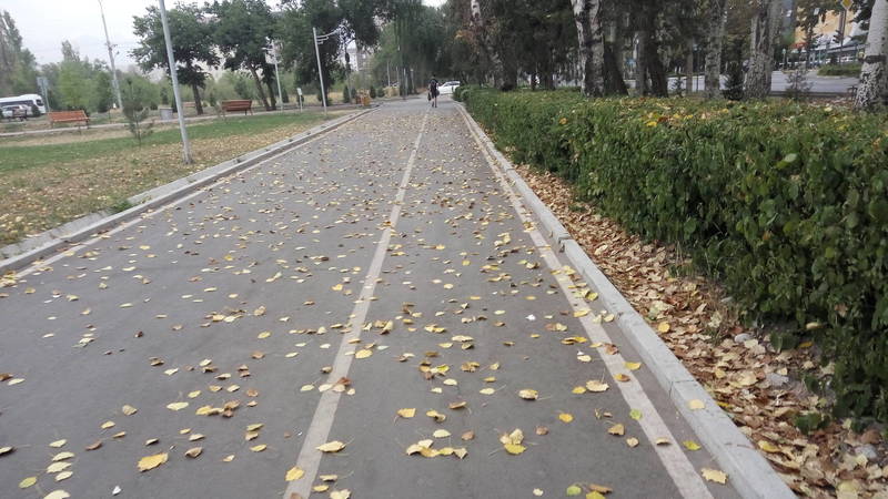 В Бишкеке «наступила осень». Фото горожанина