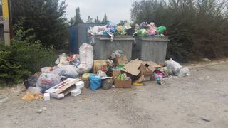 На Арабаева-Саадака в Ак-Орго свалка из-за нехватки мусорных баков, - житель (фото)