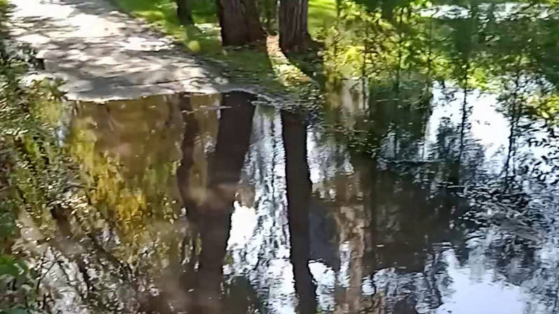 На Ахунбаева вода топит тротуар. Видео