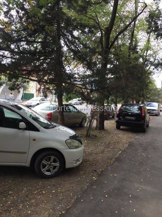 Газон вдоль улицы Байтик Баатыра превратили в парковку (фото)