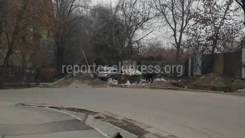 Свалка мусора в Городке энергетиков. Ответ мэрии