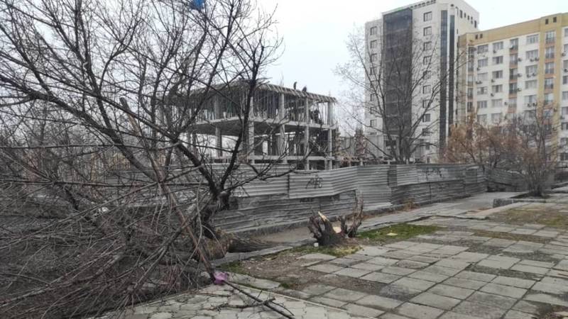 Возле стройки на ул.Огонбаева спилили здоровое дерево. Фото