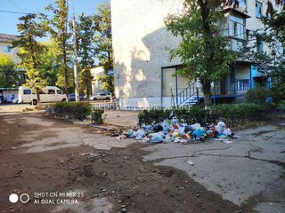На улице Ахунбаева мусор оставили возле жилого дома (фото)