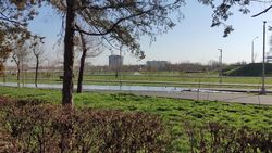 В парке «Ынтымак» вода из арыка затопила аллею. Фото
