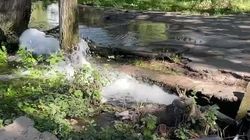 В парке Панфилова вода из трубы размывает корни деревьев. Видео