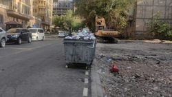 Почему мусорные баки поставили близко к дому на Элебаева? Фото и видео горожанки