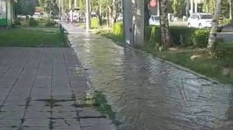 На Советской снова «поливают» тротуар. Видео