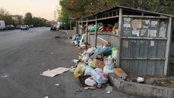 В Аламедине-1 мусор из баков вываливается на дорогу. Фото