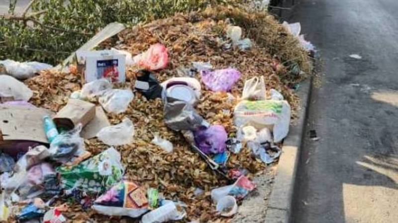 Обилие мусора по Ахунбаева. Фото