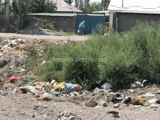 Село Кашат в Иссык-Кульской области утопает в мусоре