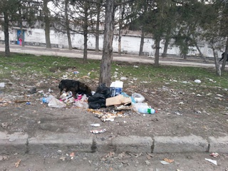 На Фучика-Профсоюзная мусор не убирают до конца, и позже его сжигают, - житель <b><i> (фото) </i></b>