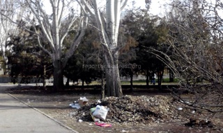 Большое количество мусора возле Белого дома со стороны парка Панфилова, - читатель <b><i> (фото) </i></b>