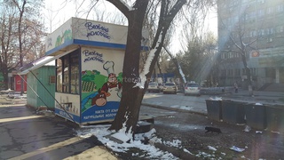 Будку компании «Веселый молочник» установили возле мусорного бака напротив Республиканской больницы, - читатель <b><i> (фото) </i></b>