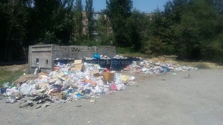 Уже 2 недели «Тазалык» не приезжает за мусором по ул. Суванбердиева, - житель <b><i>(фото)</i></b>
