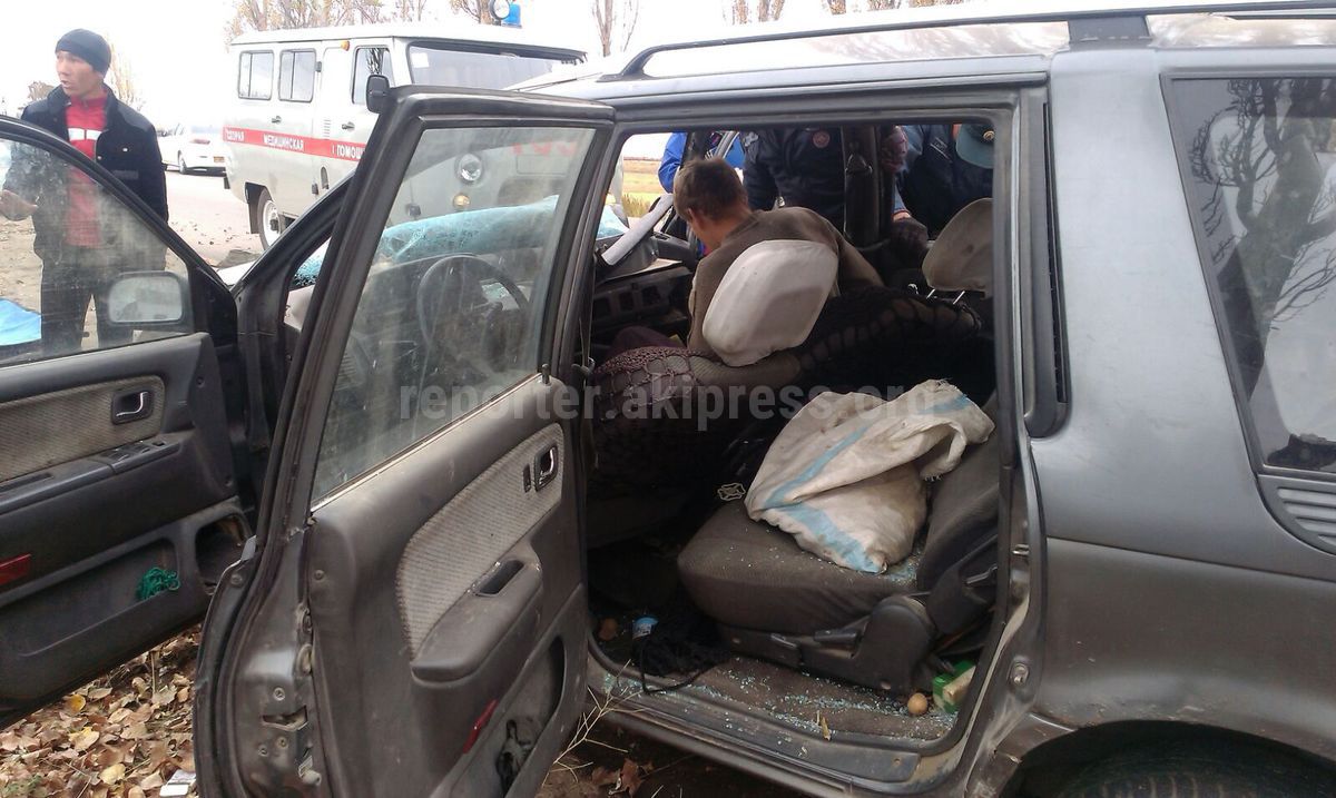 В селе Бостери пьяный водитель врезался в дерево, пассажира авто зажало в  салоне, - очевидец (фото, видео)