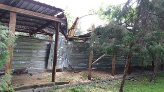 На Чокморова-Манаса дерево упало на строительное ограждение (фото)