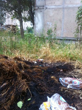 МТУ №11 убрало мусор на территории, относящейся к нему — возле дома №73 в 5 мкр, - «Тазалык»