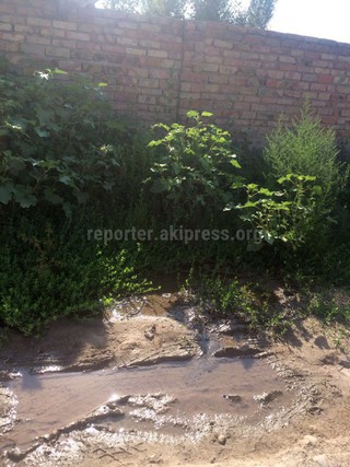 Утечка питьевой воды на ул.Ак-Туз в жилмассиве Арча-Бешик устранена, - «Бишкекводоканал»