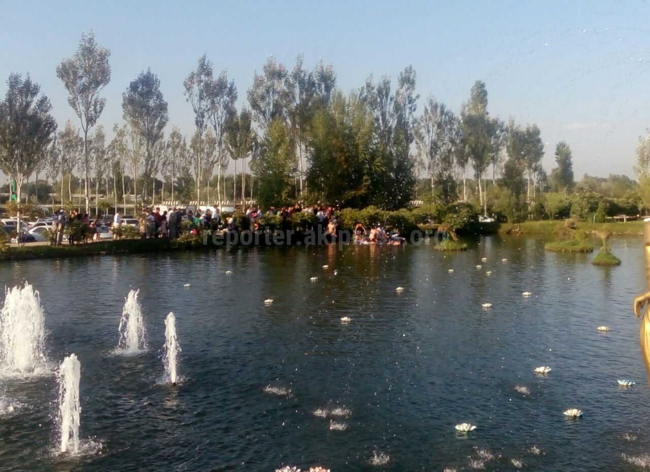 В водоем кафе «Гавайи» упал автомобиль с пассажирами (фото)