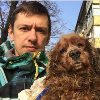 В Бишкеке найдена собака породы коккер-спаниель, нашедшие ищут хозяев (фото)