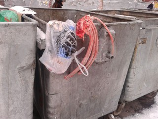 В мусорные контейнеры на ул.Уметалиева в Бишкеке неизвестные выкинули останки животных, - читатель (фото)