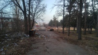 Вывоз мусора в парке Ататюрка с 1 марта будет осуществляться через день, - мэрия Бишкека