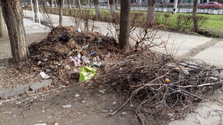 «Тазалык» вывез мусор, находящийся возле дома №67 проспекта Манаса, - мэрия