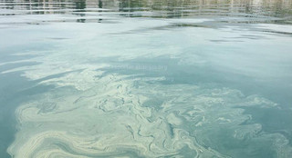 Вода в озере Иссык-Куль в районе Бостери загрязнена непонятным веществом, - читатель Руслан <i>(фото)</i>