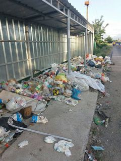 В жилмассиве Кара-Жыгач мусор не вывозился уже 2 недели, - читатель (фото)
