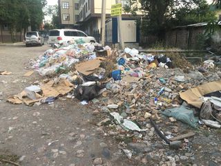 На пересечении Горького-Геологического отсутствуют мусорные контейнеры и скопился мусор (фото)