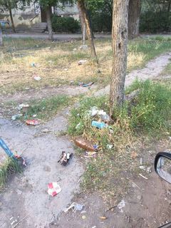 Читатель просит убрать мусор во дворе на Ахунбаева-Руставели (фото)