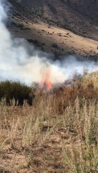 В горах близ курорта Иссык-Ата произошел пожар <i>(видео)</i>