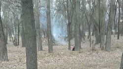 В городе Токмок в городском парке дворники сжигают мусор, - местный житель (фото)