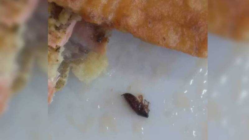 В Бишкеке в столовой на улице Медерова подали жареного таракана, - посетитель (видео)