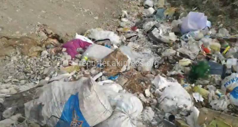 Жители села Таш-Башат сняли репортаж о мусорной свалке с просьбой перенести ее (видео)
