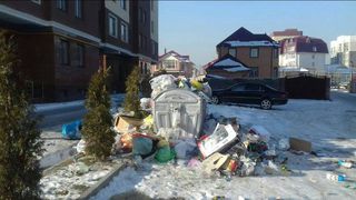 Жители дома № 16 ул.Грибоедова в Бишкеке просят МП «Тазалык» увеличить количество мусорных баков