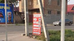 На Баялинова - Исанова заново установили рекламный штендер (фото)