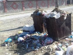 В Таласе три недели как не вывозят мусор на улице Жаныбек. Фото