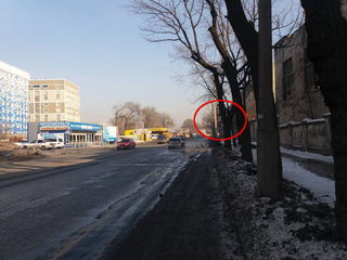 Читательница просит перенести дорожный знак на Толстого-Исанова на видное место (фото)