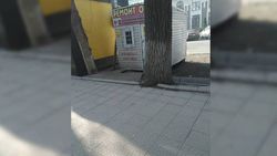 Бишкекчанин интересуется, законно ли установлены павильоны по улице Гоголя?