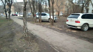 На Ахунбаева-Малдыбаева водители устроили стоянку на зеленой зоне (видео)
