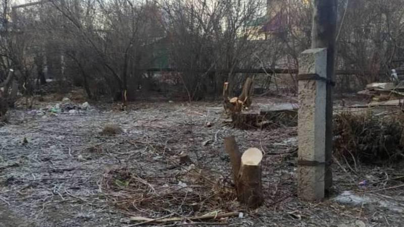 На Фере-Дачной в Бишкеке срубили деревья, - очевидец