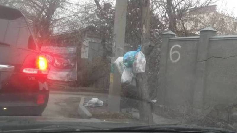 На улице Жукеева-Пудовкина оставляют мусор на улице. Фото