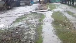 Житель села Беловодское жалуется на антисанитарное состояние территории вокруг школы. Видео