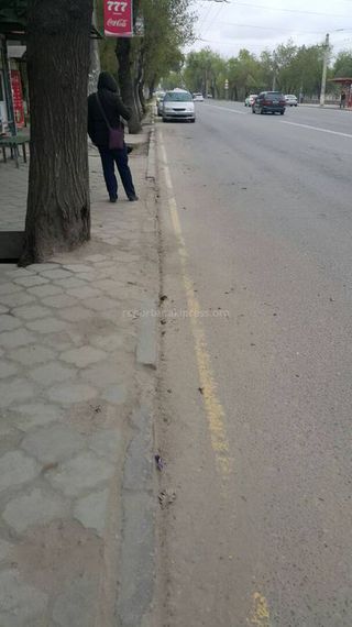 «Тазалык» убрал мусор у дороги на участке ул.Льва Толстого (фото)