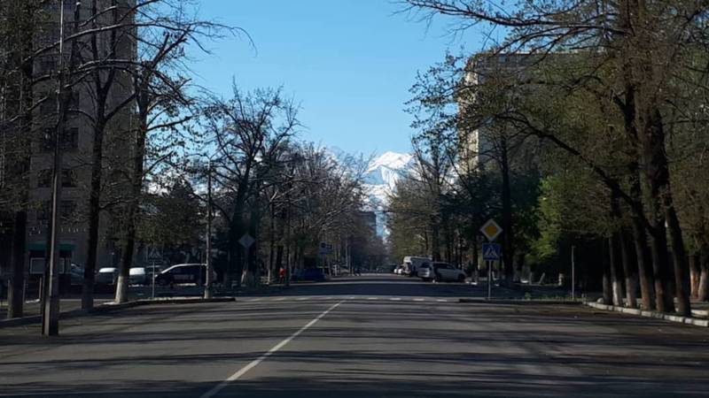 Как выглядит Бишкек на следующий день после апрельского снега? Фото