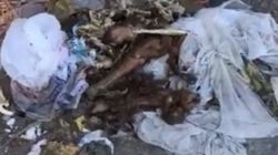 Житель города Ош жалуется на мусор на центральном рынке. Видео